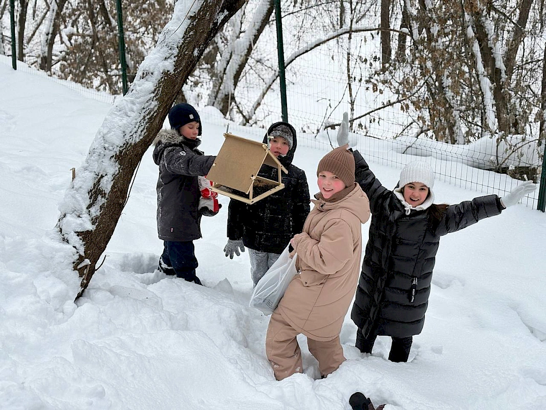 Покормите птиц зимой